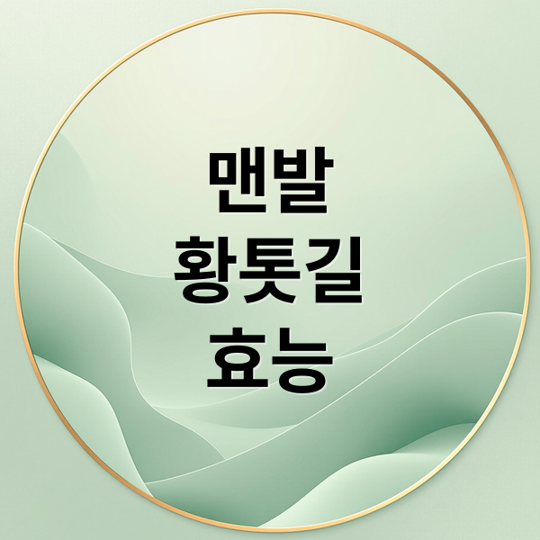 맨발
황톳길
효능 (맨발 황톳길)