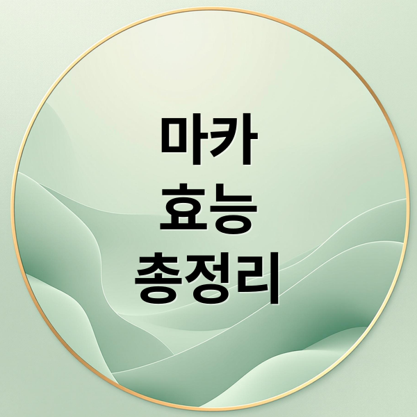 마카
효능
총정리 (마카 효능)