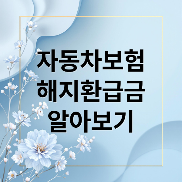 자동차보험
해지환급금
알아보기 (자동차보험 해지환급금 조회 방법)