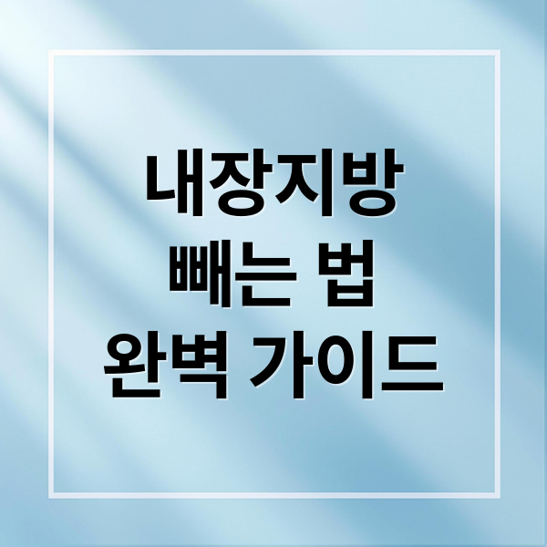 내장지방
빼는 법
완벽 가이드 (내장지방 빼는법)
