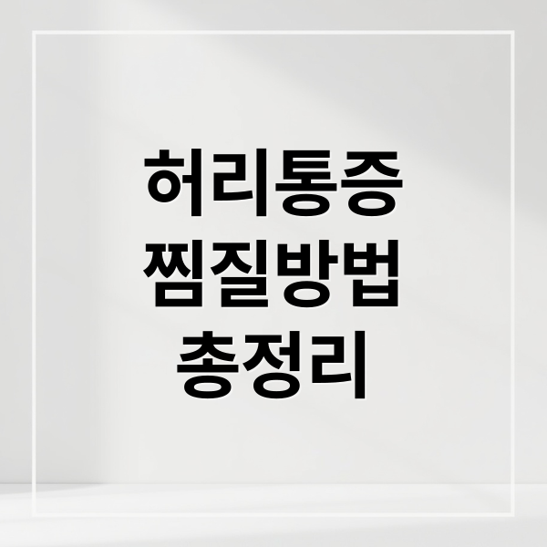 허리통증
찜질방법
총정리 (허리 통증 찜질)