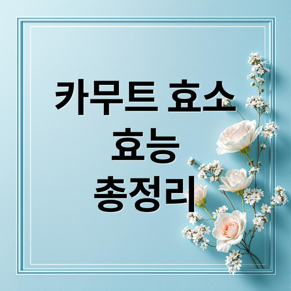 카무트 효소
효능
총정리 (카무트효소 효능 부작용)