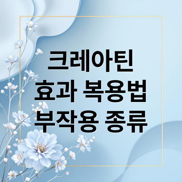 크레아틴
효과 복용법
부작용 종류 (크레아틴 복용법 효과 부작용)