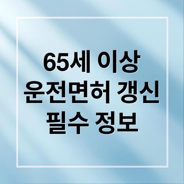 65세 이상운전면허 갱신필수 정보 (65세 이상 운전면허 갱신 치매검사)