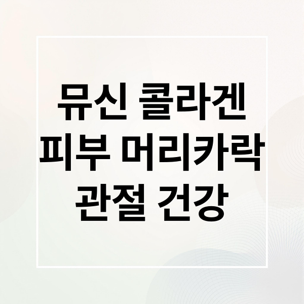 뮤신 콜라겐
피부 머리카락
관절 건강 (뮤신 콜라겐 효능 부작용)