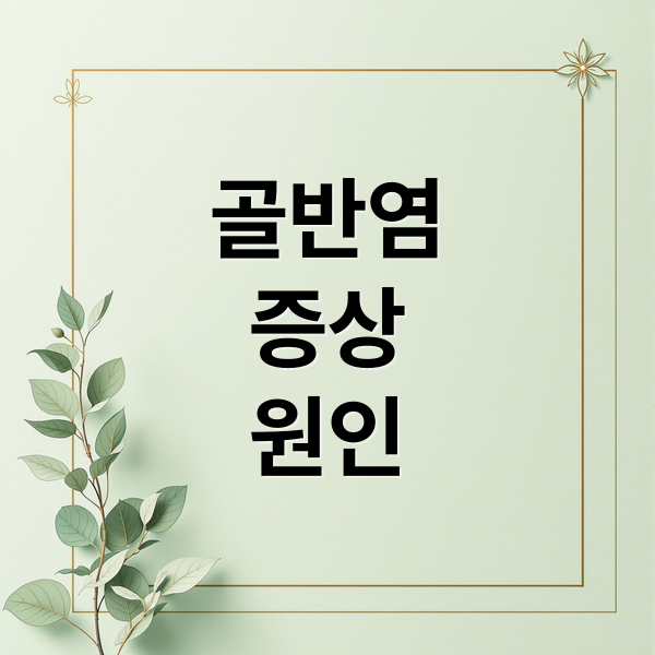 골반염
증상
원인 (골반염 증상 12가지)