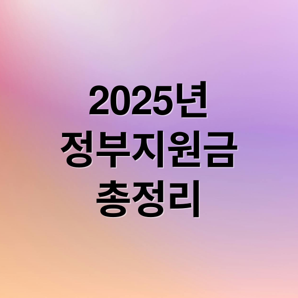 2025년
정부지원금
총정리 (정부지원금 혜택)