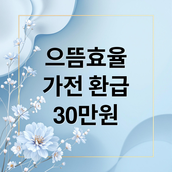 으뜸효율
가전 환급
30만원 (으뜸효율 가전 30만원 환급)