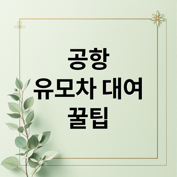 공항유모차 대여꿀팁 (공항 유모차 대여)