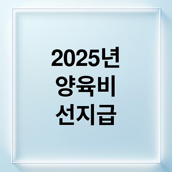 2025년
양육비
선지급 (양육비 선지급 제도 신청)