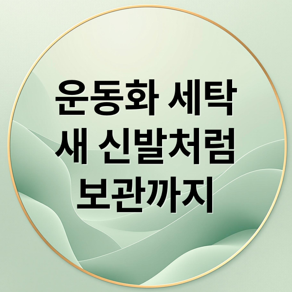운동화 세탁
새 신발처럼
보관까지 (운동화 세탁법)