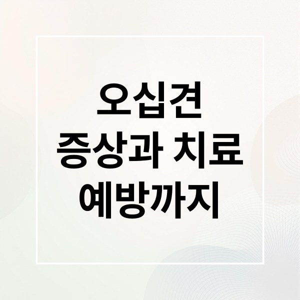 오십견
증상과 치료
예방까지 (오십견 증상 치료)