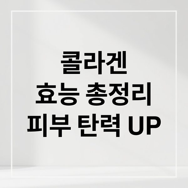 콜라겐
효능 총정리
피부 탄력 UP (콜라겐 효능)
