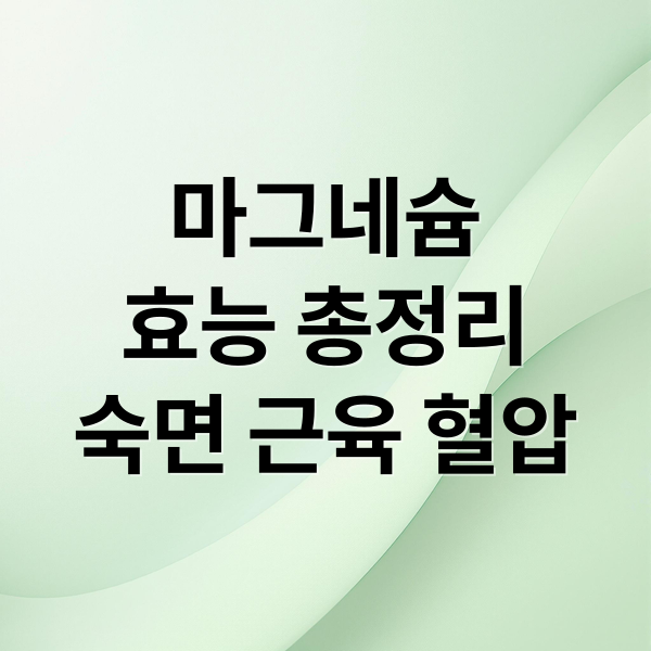 마그네슘
효능 총정리
숙면 근육 혈압 (마그네슘 효능 수면 근육 혈압)
