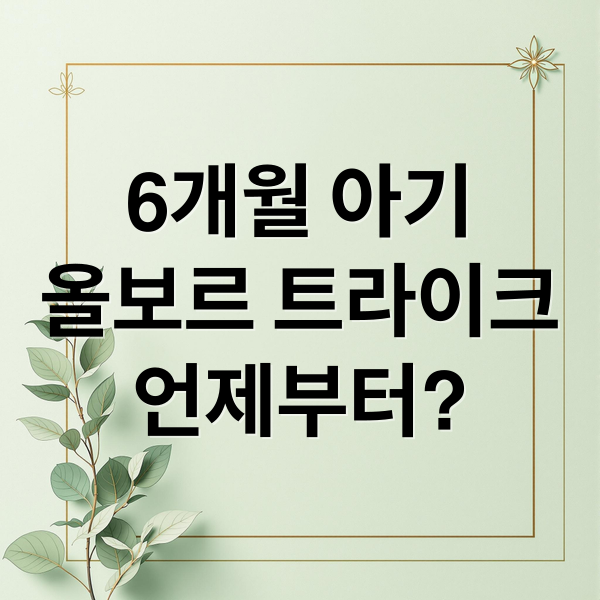 6개월 아기
올보르 트라이크
언제부터? (올보르 트라이크 유모차 6개월)