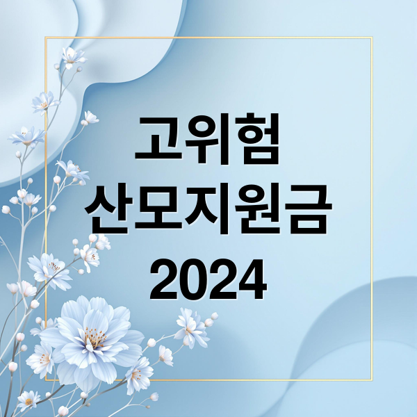 고위험
산모지원금
(고위험산모 지원금 기준)