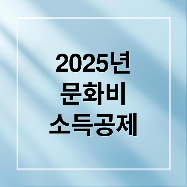 2025년
문화비
소득공제 (2025 문화비 소득공제 신청방법)