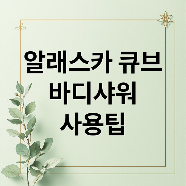 알래스카 큐브바디샤워사용팁 (알레스카 큐브 바디샤워 후기)