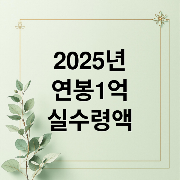 2025년
연봉1억
실수령액 (연봉1억 실수령액 세금 계산)