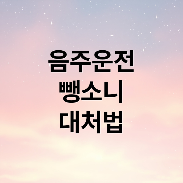 음주운전
뺑소니
대처법 (음주운전 뺑소니 자동차 보험 보상)