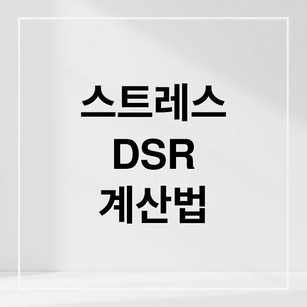 스트레스
DSR
계산법 (스트레스 DSR)