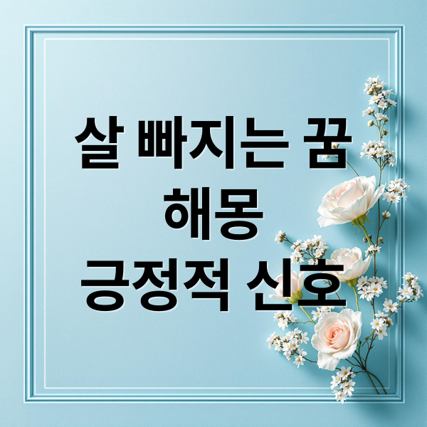 살 빠지는 꿈
해몽
긍정적 신호 (살 빠지는 꿈 해몽)