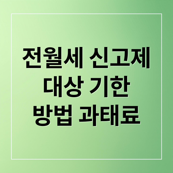 전월세 신고제
대상 기한
방법 과태료 (전월세 신고 30일 기한)