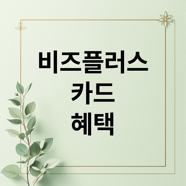 비즈플러스
카드
혜택 (소상공인 비즈플러스카드)