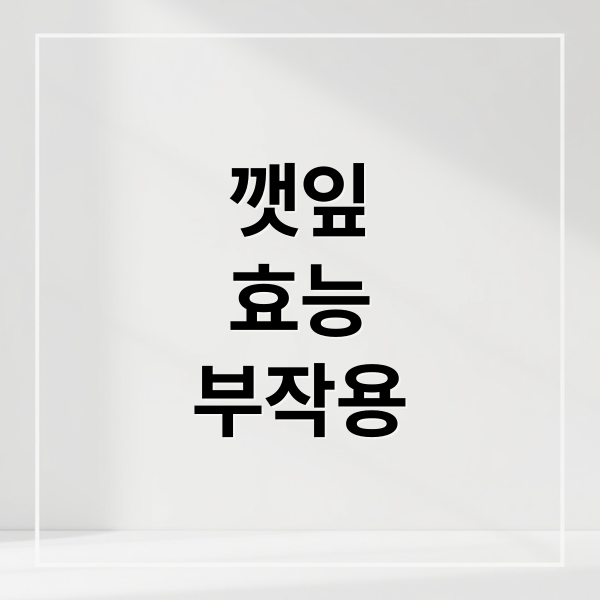 깻잎
효능
부작용 (깻잎 효능 부작용)