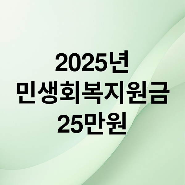 2025년
민생회복지원금
25만원 (전국민25만원민생회복지원금)