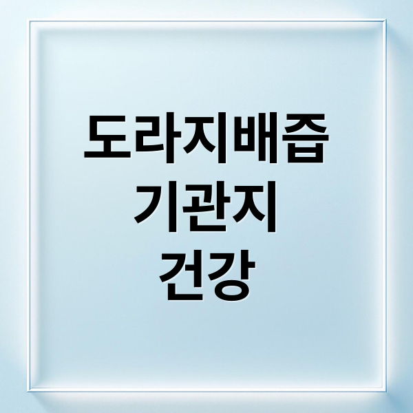 도라지배즙
기관지
건강 (도라지배즙 효능 섭취법)