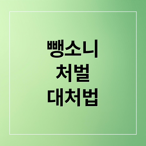 뺑소니
처벌
대처법 (교통사고 뺑소니 처벌)