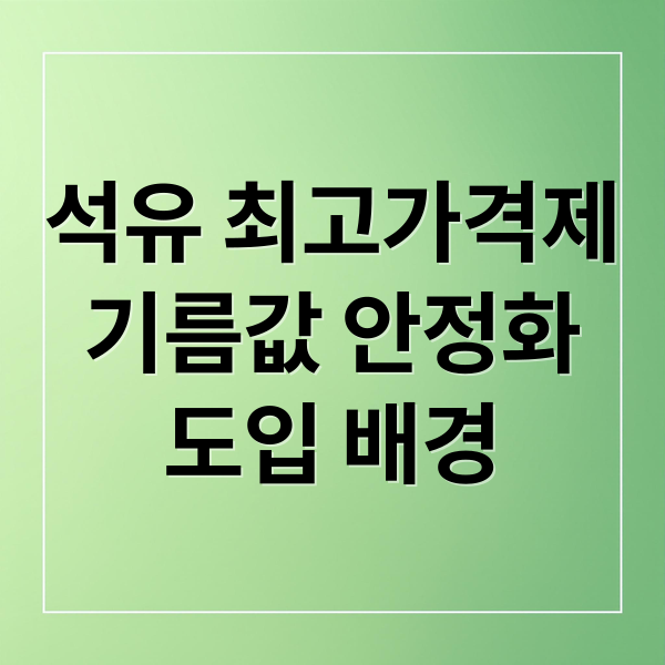 석유 최고가격제
기름값 안정화
도입 배경 (석유 최고가격제 기름값)