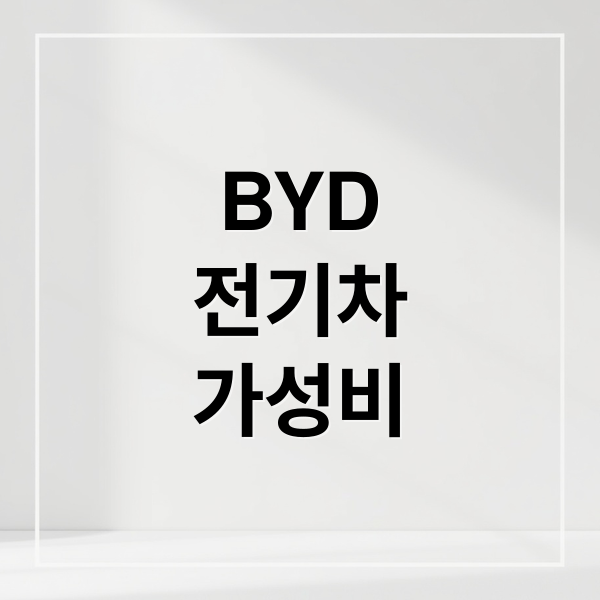 BYD
전기차
가성비 (중국 전기차 구매)