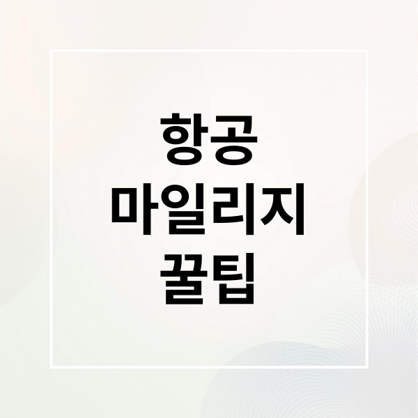 항공
마일리지
꿀팁 (항공 마일리지)