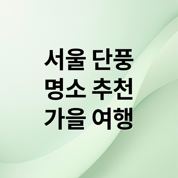 서울 단풍
명소 추천
가을 여행 (서울 단풍 명소)