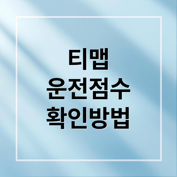 티맵
운전점수
확인방법 (티맵 운전점수 올리기)