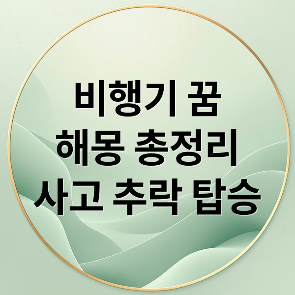 비행기 꿈
해몽 총정리
사고 추락 탑승 (비행기 사고 꿈 해몽)