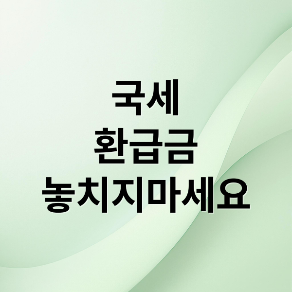 국세
환급금
놓치지마세요 (국세 환급금 확인 방법)