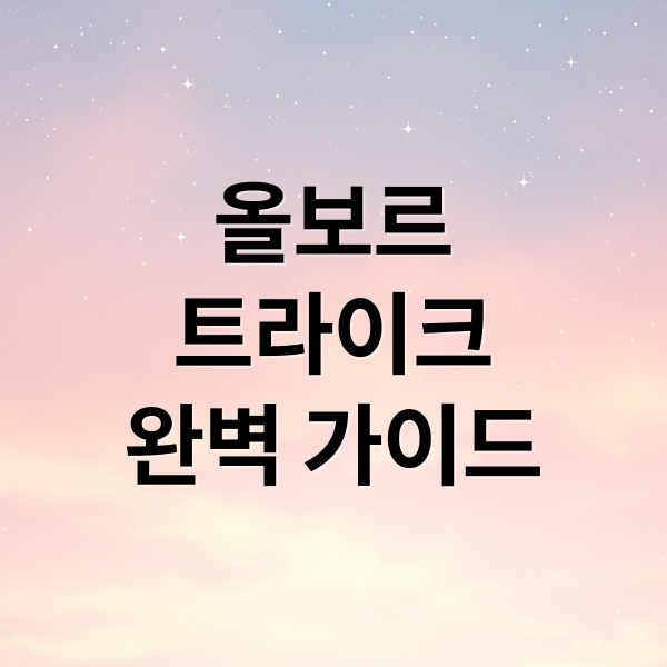 올보르
트라이크
완벽 가이드 (올보르 트라이크)