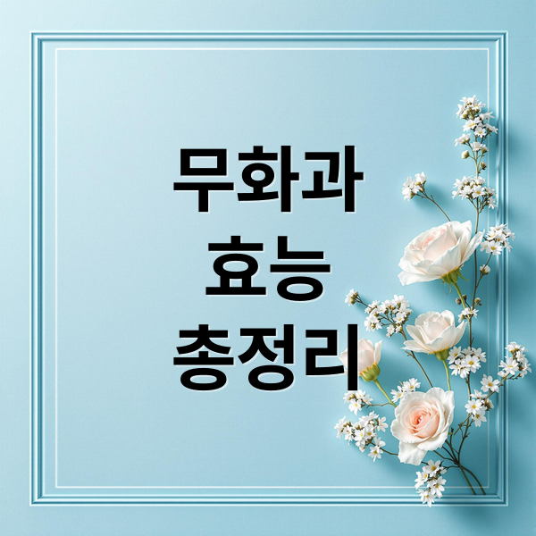 무화과
효능
총정리 (무화과 효능)