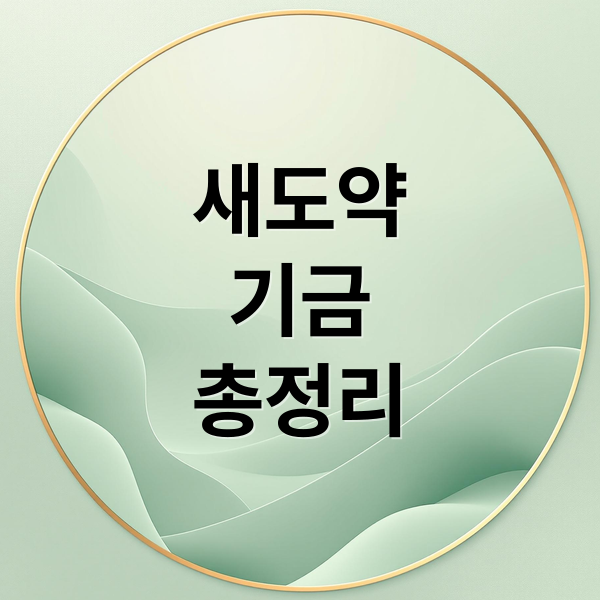 새도약
기금
총정리 (새도약기금 온라인 신청 자격)