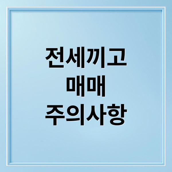 전세끼고
매매
주의사항 (전세끼고매매 규제)