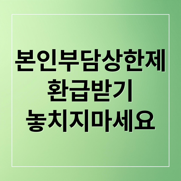 본인부담상한제
환급받기
놓치지마세요 (본인부담상한제 환급 신청)