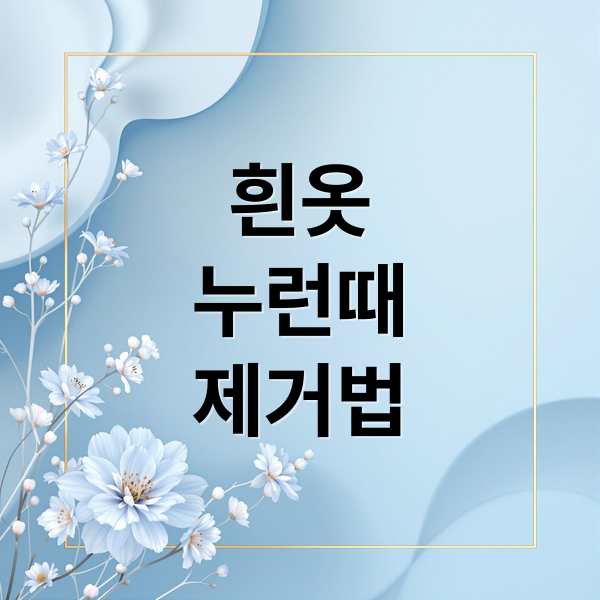 흰옷
누런때
제거법 (흰옷 누런때 제거)