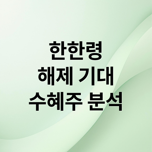 한한령
해제 기대
수혜주 분석 (한한령해제 관련주)