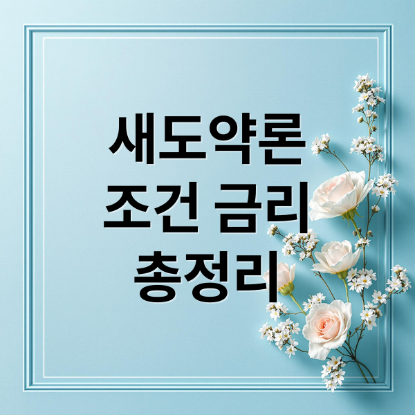 새도약론
조건 금리
총정리 (채무조정 성실상환자 새도약론)