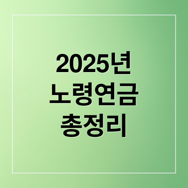 2025년
노령연금
총정리 (노령연금 수급자격)