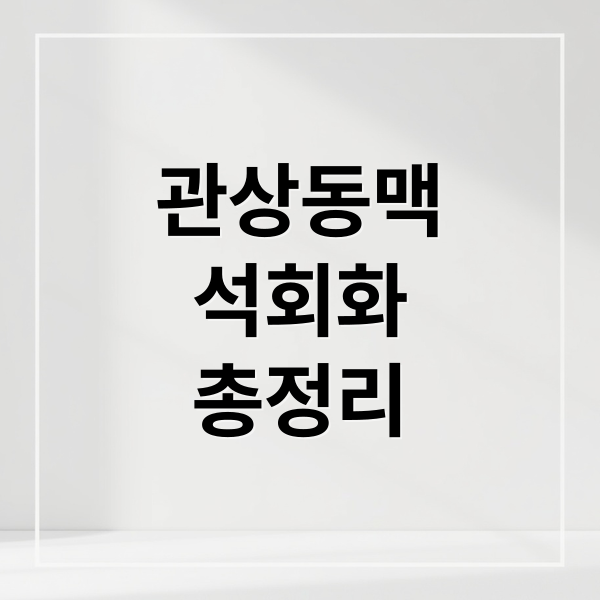 관상동맥
석회화
총정리 (관상동맥 석회화 증상)