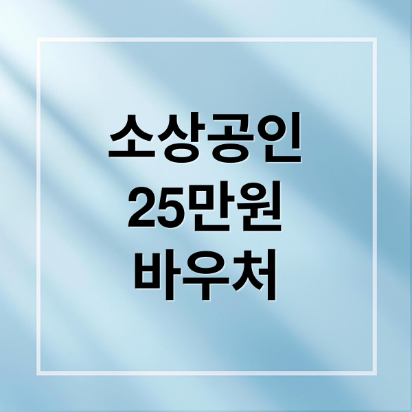 소상공인
25만원
바우처 (2026 소상공인 바우처 우체국 체크카드 25만원)